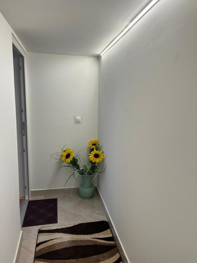 Vito Apartman Έγκερ Εξωτερικό φωτογραφία